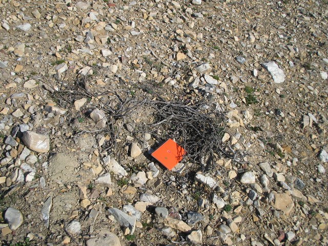 Thumb for 17 aug 05 near wlf2 dead scrub.jpg (4081 KB)